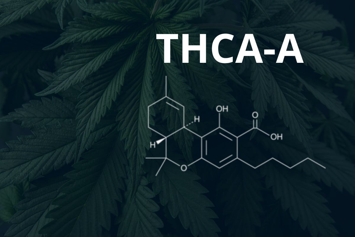 THCA-A