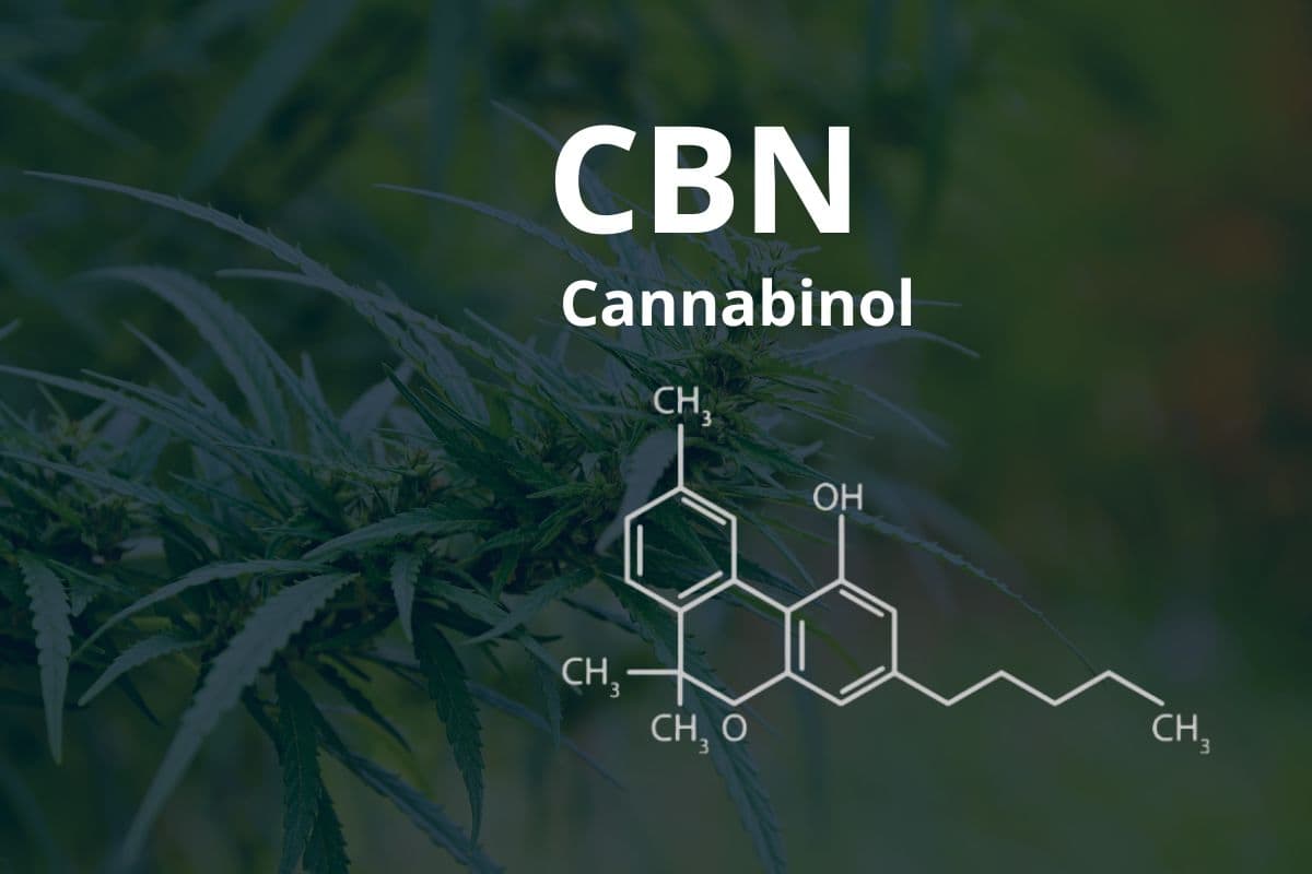 CBN - Cannabinol