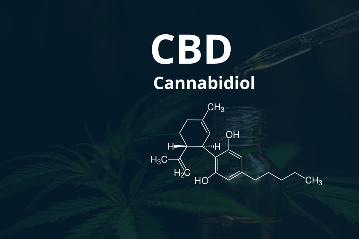 Anbau von Cannavis Sativa