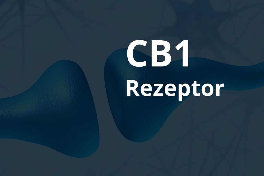 Anbau von Cannavis Sativa