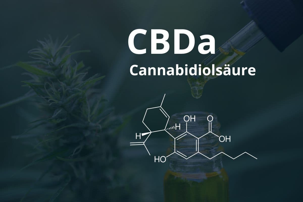 Anbau von Cannavis Sativa