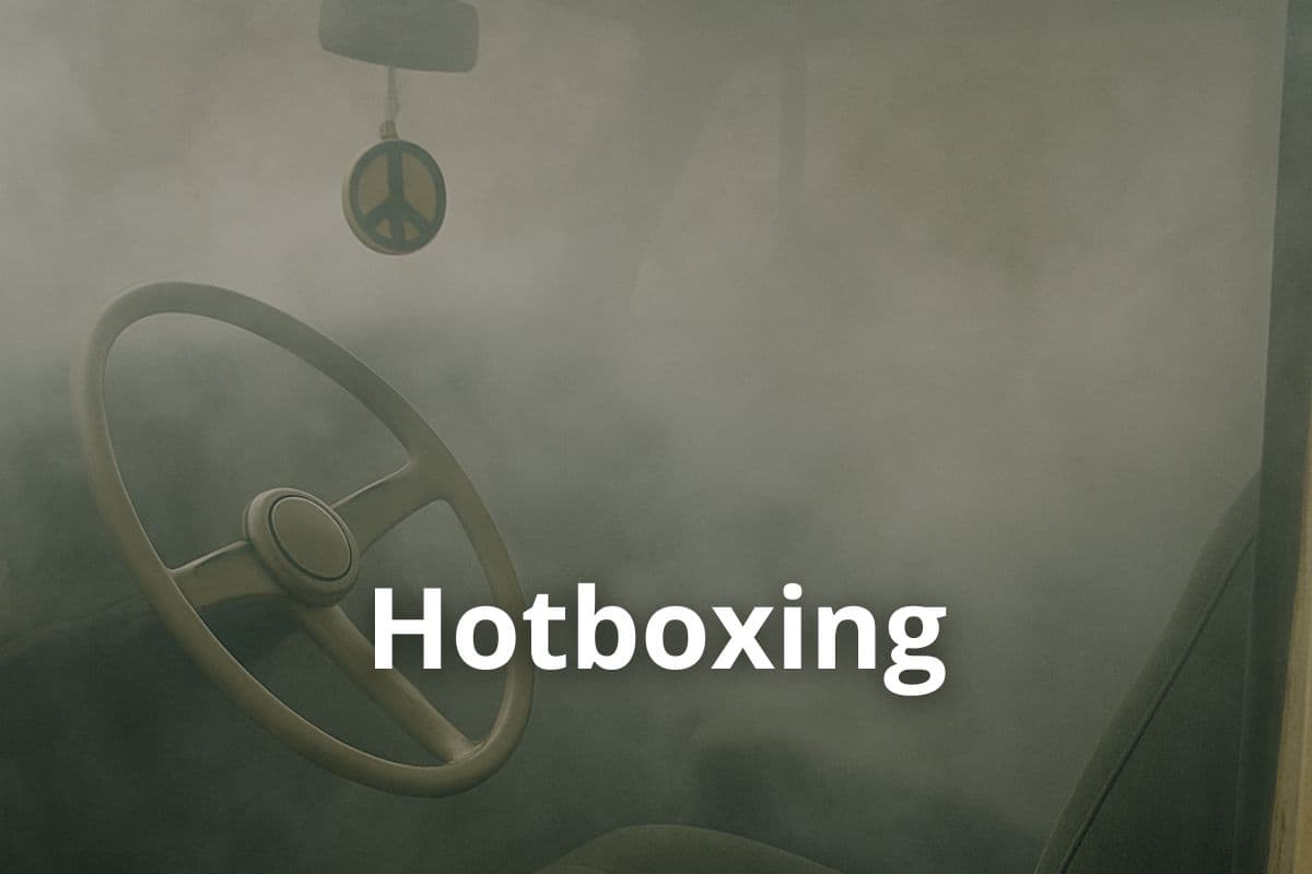 Anbau von Cannavis Sativa