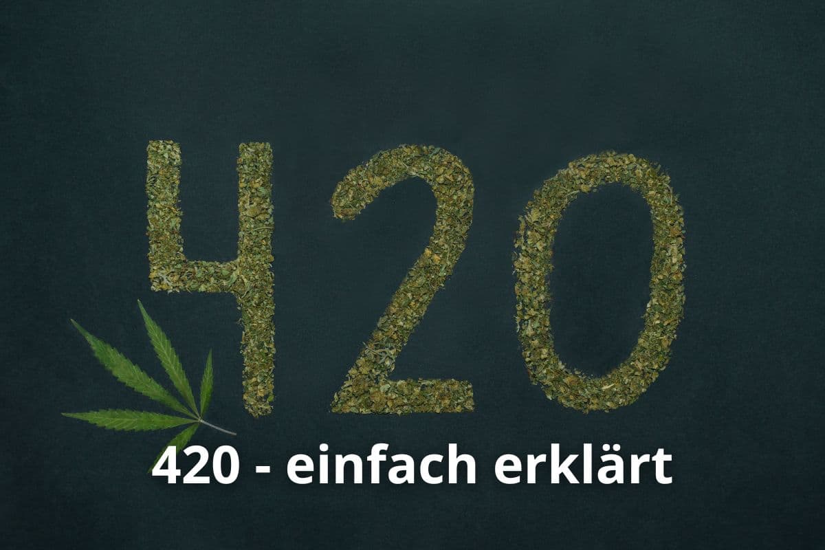 Anbau von Cannavis Sativa