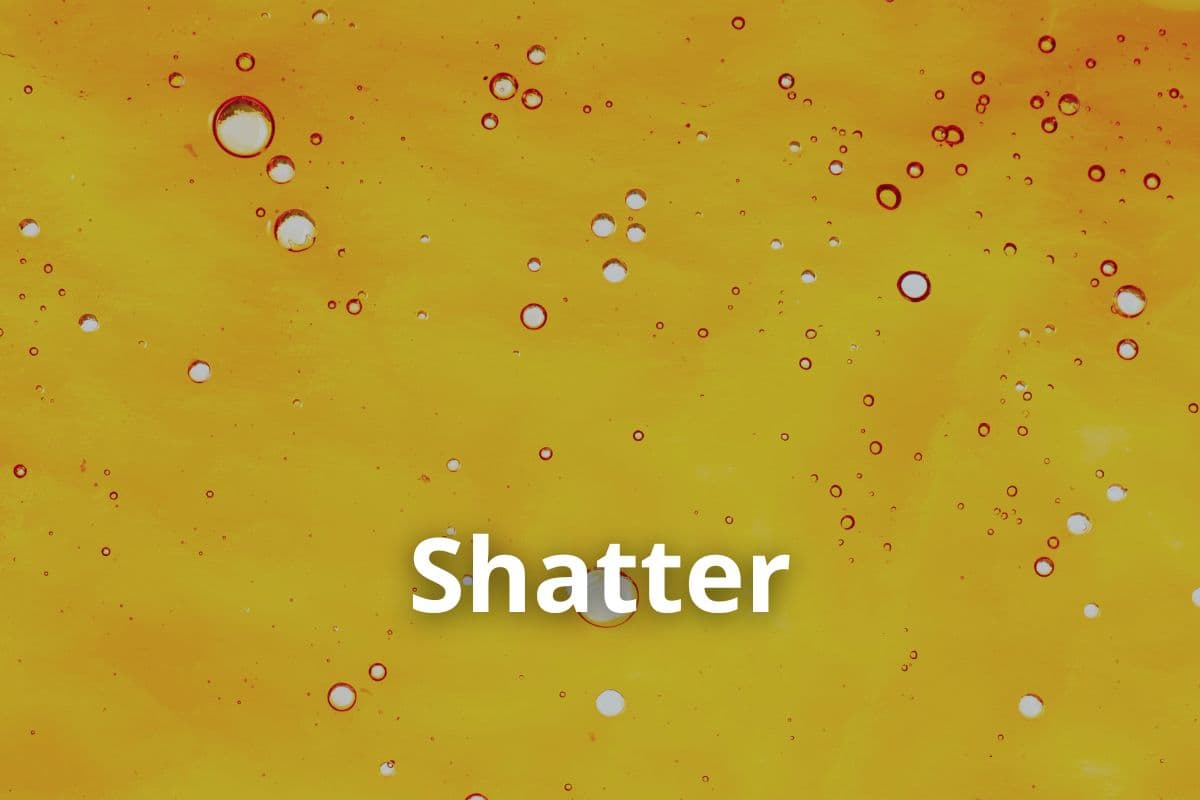 Anbau von Cannavis Sativa