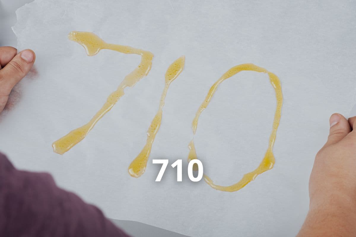 Anbau von Cannavis Sativa