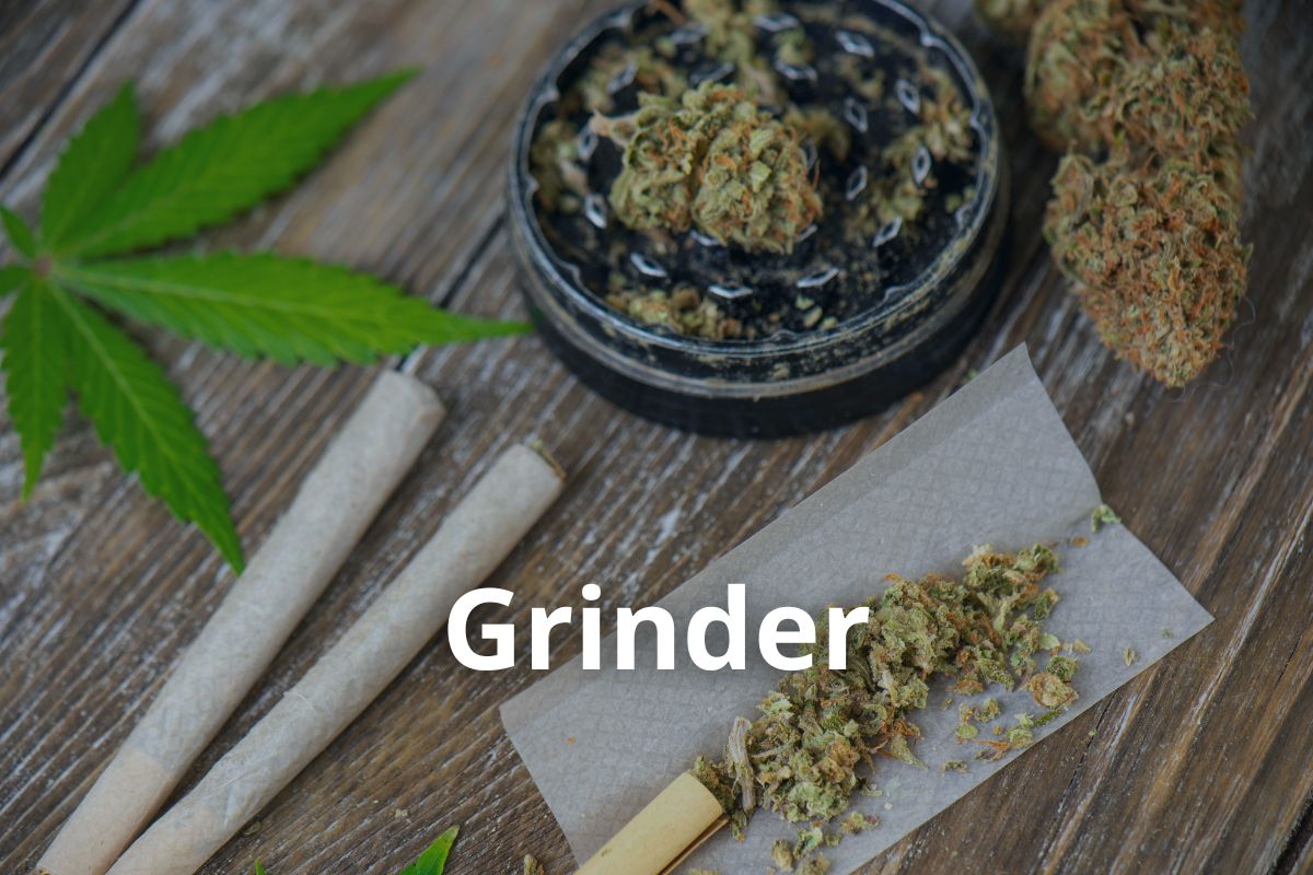 Anbau von Cannavis Sativa