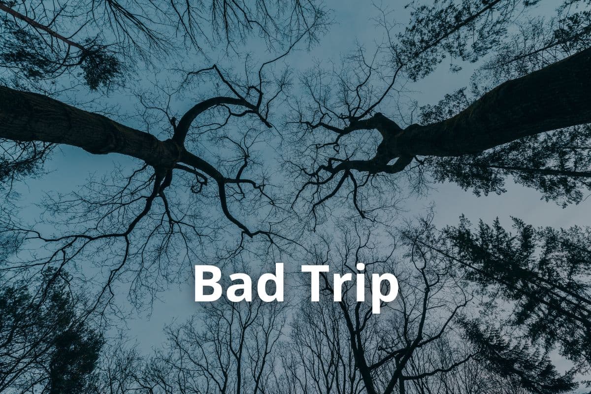 Anbau von Cannavis Sativa