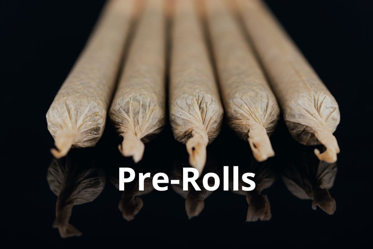 Anbau von Cannavis Sativa