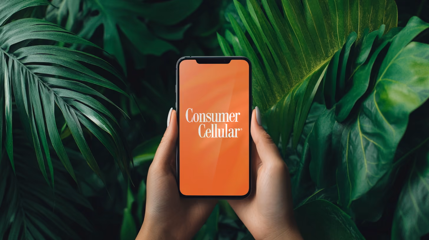 Hand holding a smartphone with consumer cellular on the screen