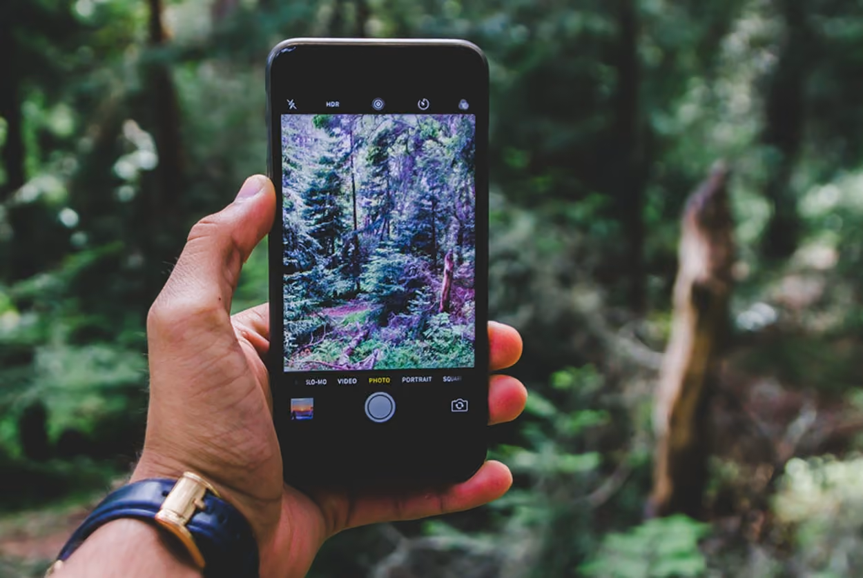 A person displays a smartphone showing a vibrant photo of a lush forest, highlighting nature's beauty.