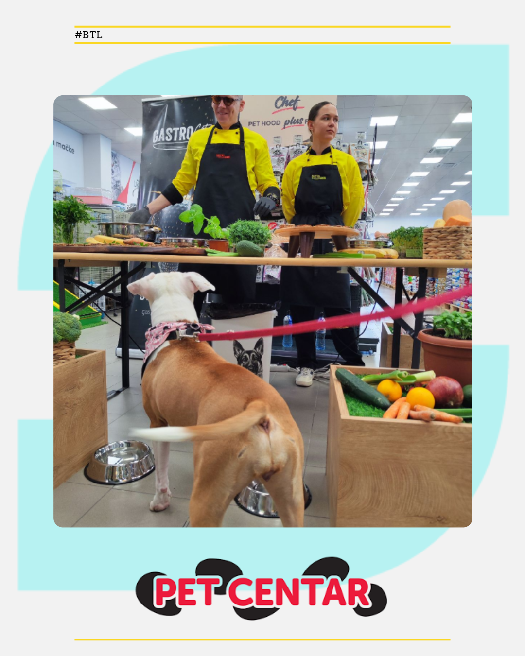 Masterclass by Milan Janković Čorba on Preparing Food for Pets