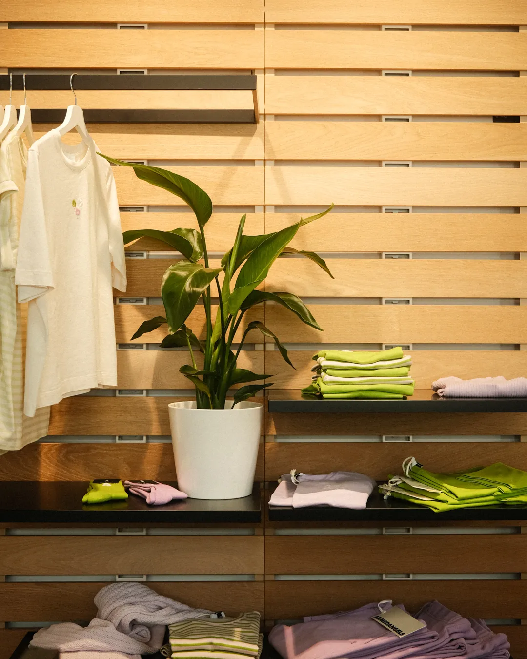 White potted plant placed on black shelf among neatly folded pastel and green clothing against a wooden slat wall.