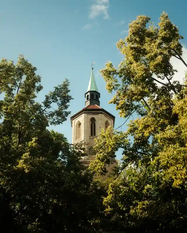 Kirche und Bäume vor blauem Himmel im Magniviertel Braunschweig