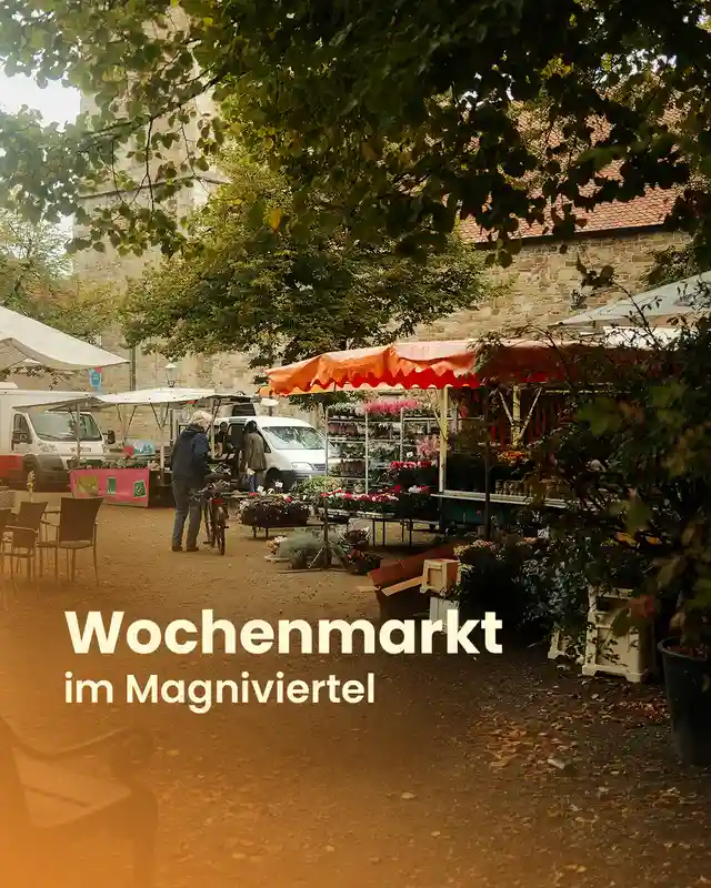 Wochenmarkt im Magniviertel Braunschweig