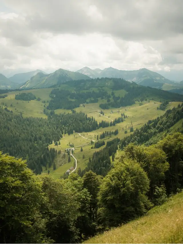 Rolling green hills and dense forest with a winding path under a cloudy sky.