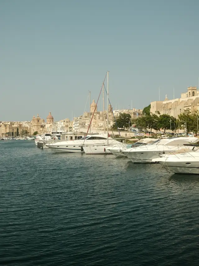 Yachts moored along a harbor with historic buildings and trees in the background under a clear sky.