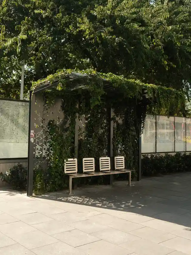 Modern outdoor bus stop shelter covered with green climbing plants and four wooden seats underneath.