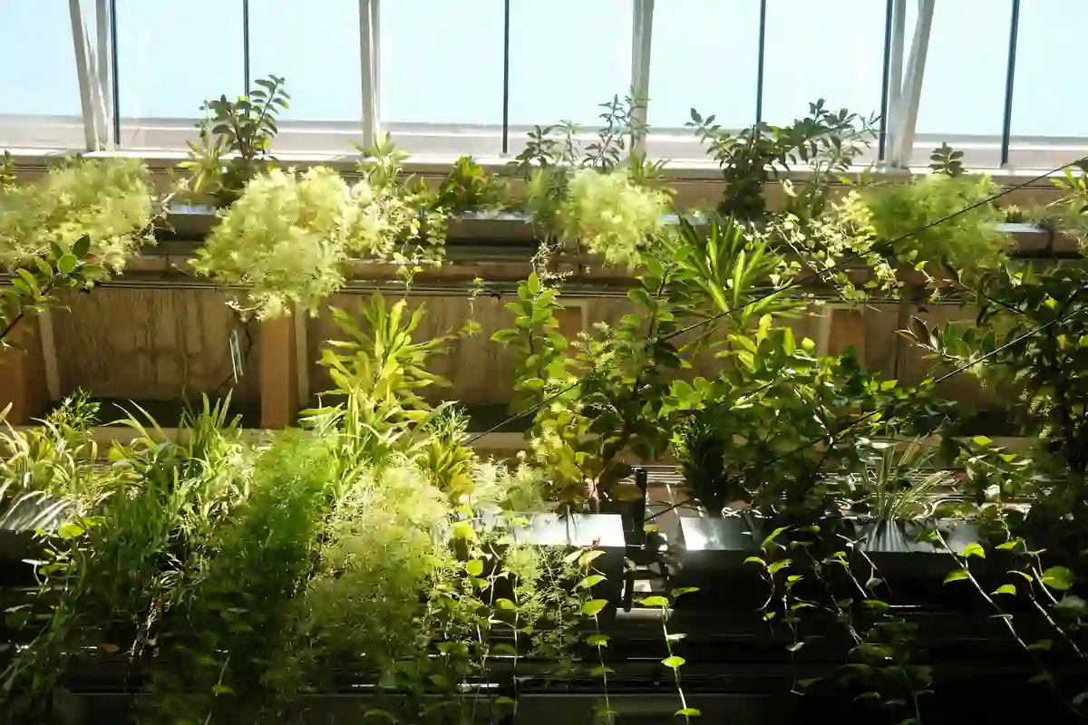 Pflanzen in Gebäude