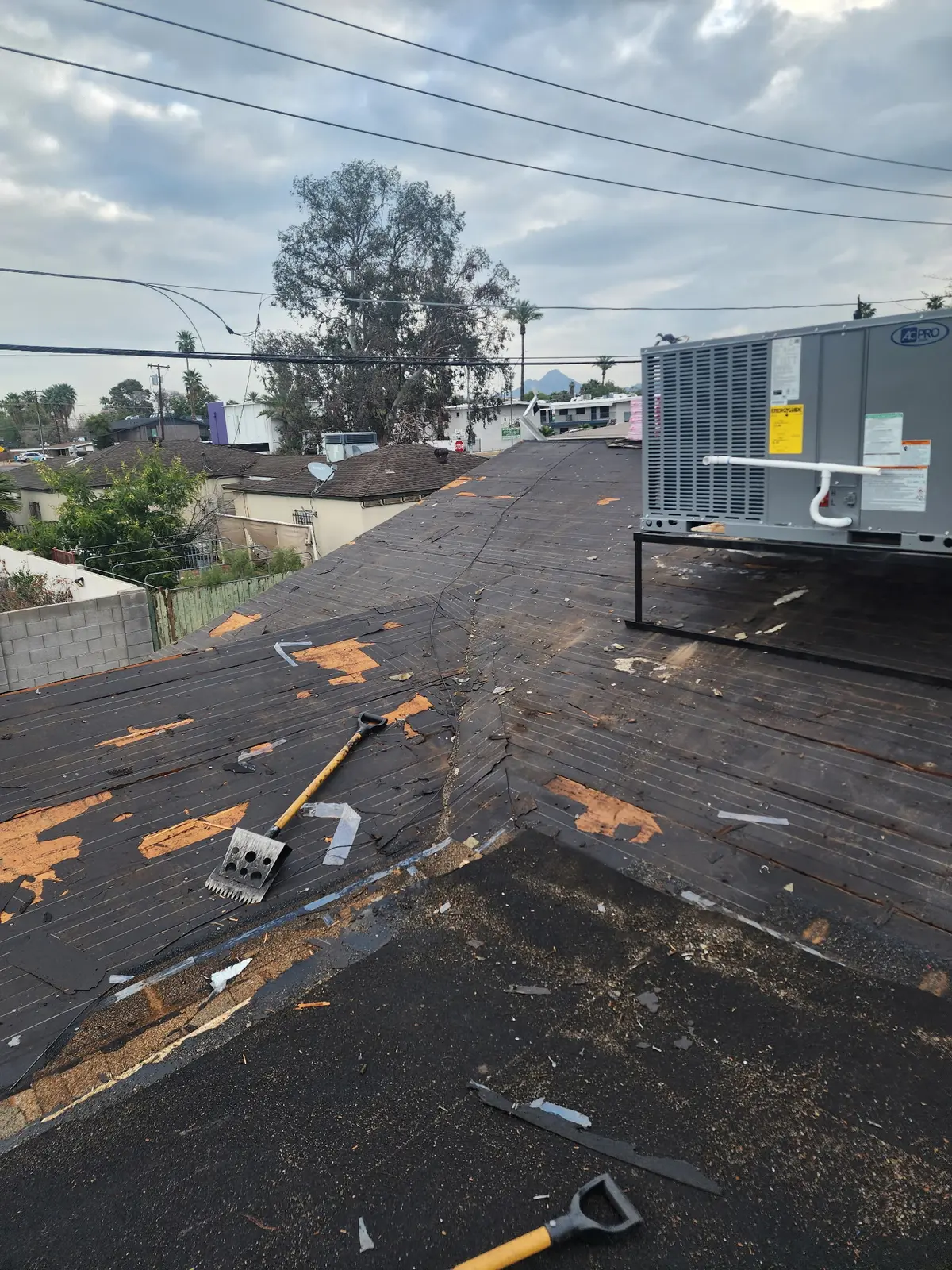 Exposed roof deck during Arcadia roof replacement