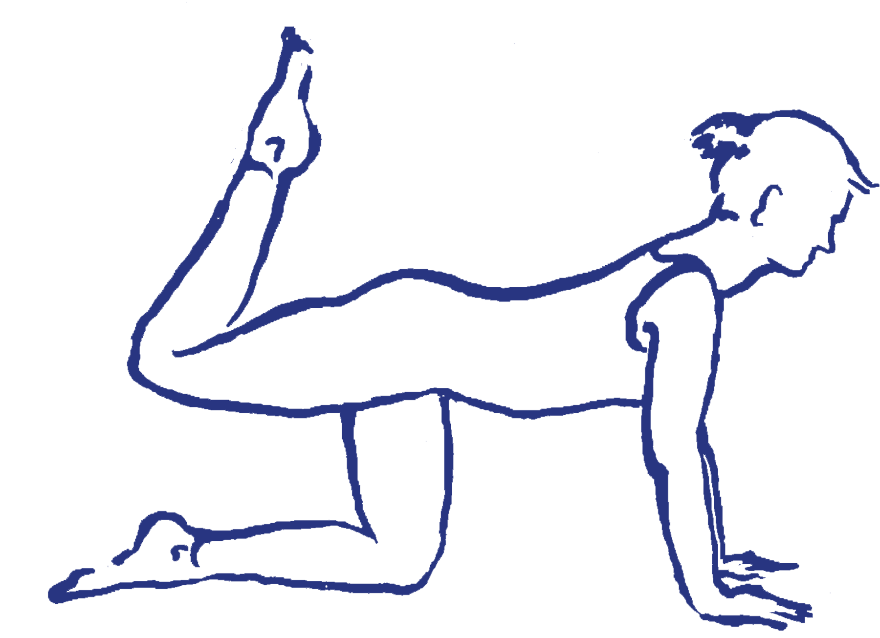 Cakravākāsana mit einem gebeugten Knie, der Fußspitze zeigt nach oben