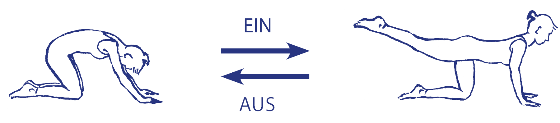 Cakravākāsana, der Weg hinein mit der Einatmung