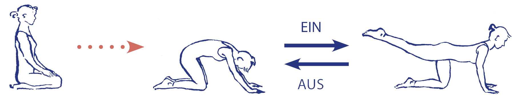 Cakravākāsana – Weg in die Übung