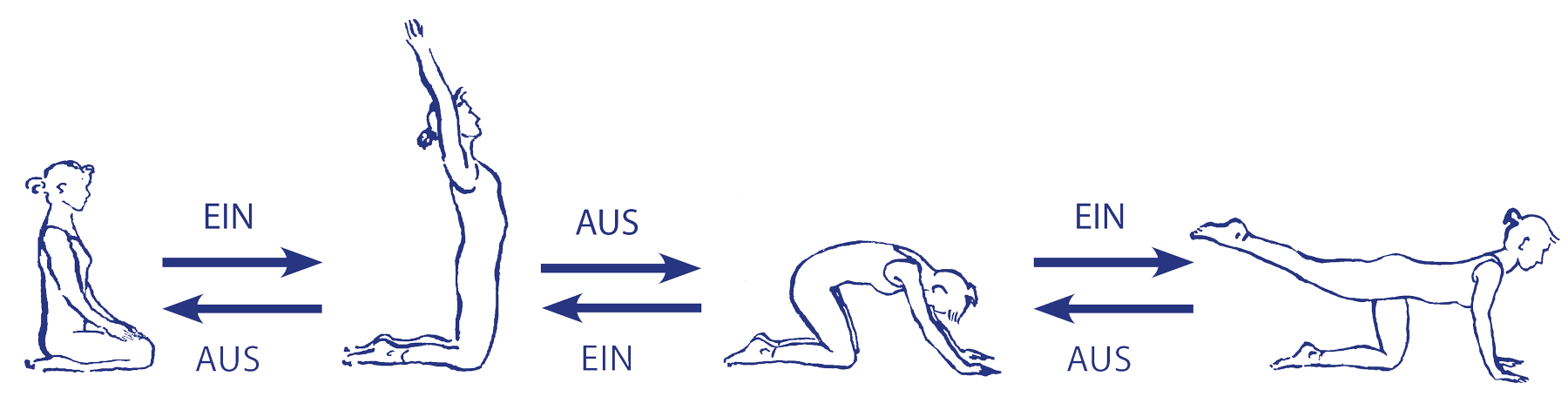 Vinyāsa für cakravākāsana – Weg in die Übung