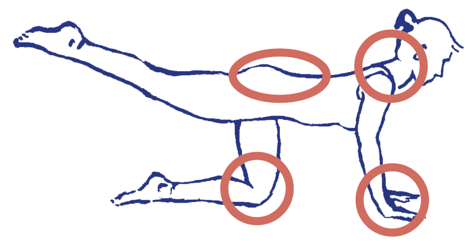 Die Problembereiche von cakravākāsana