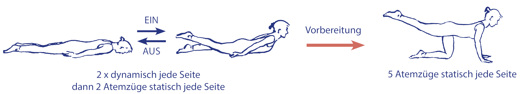 Die Vorbereitung von cakravākāsana durch śalabhāsana