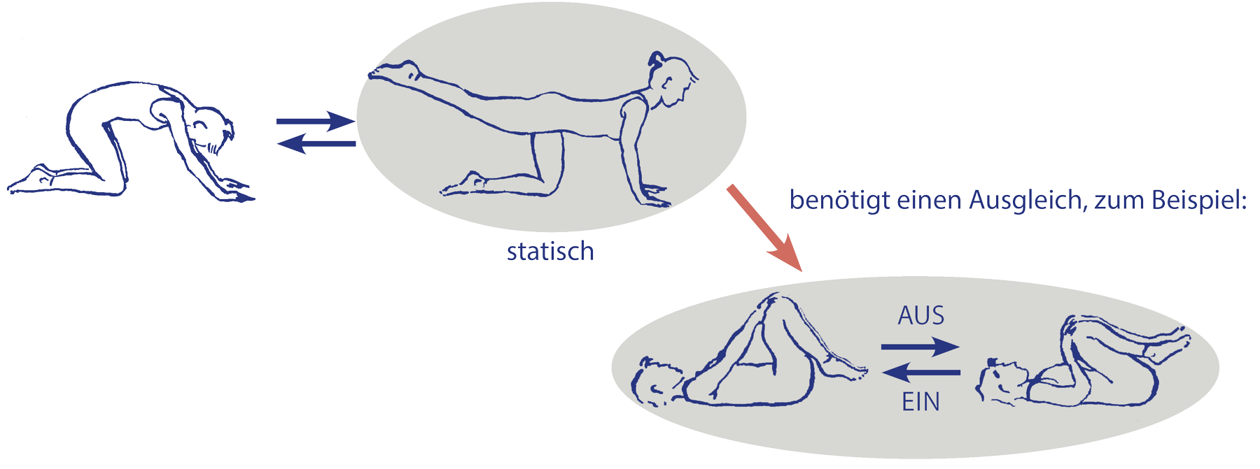 Der Ausgleich für cakravākāsana