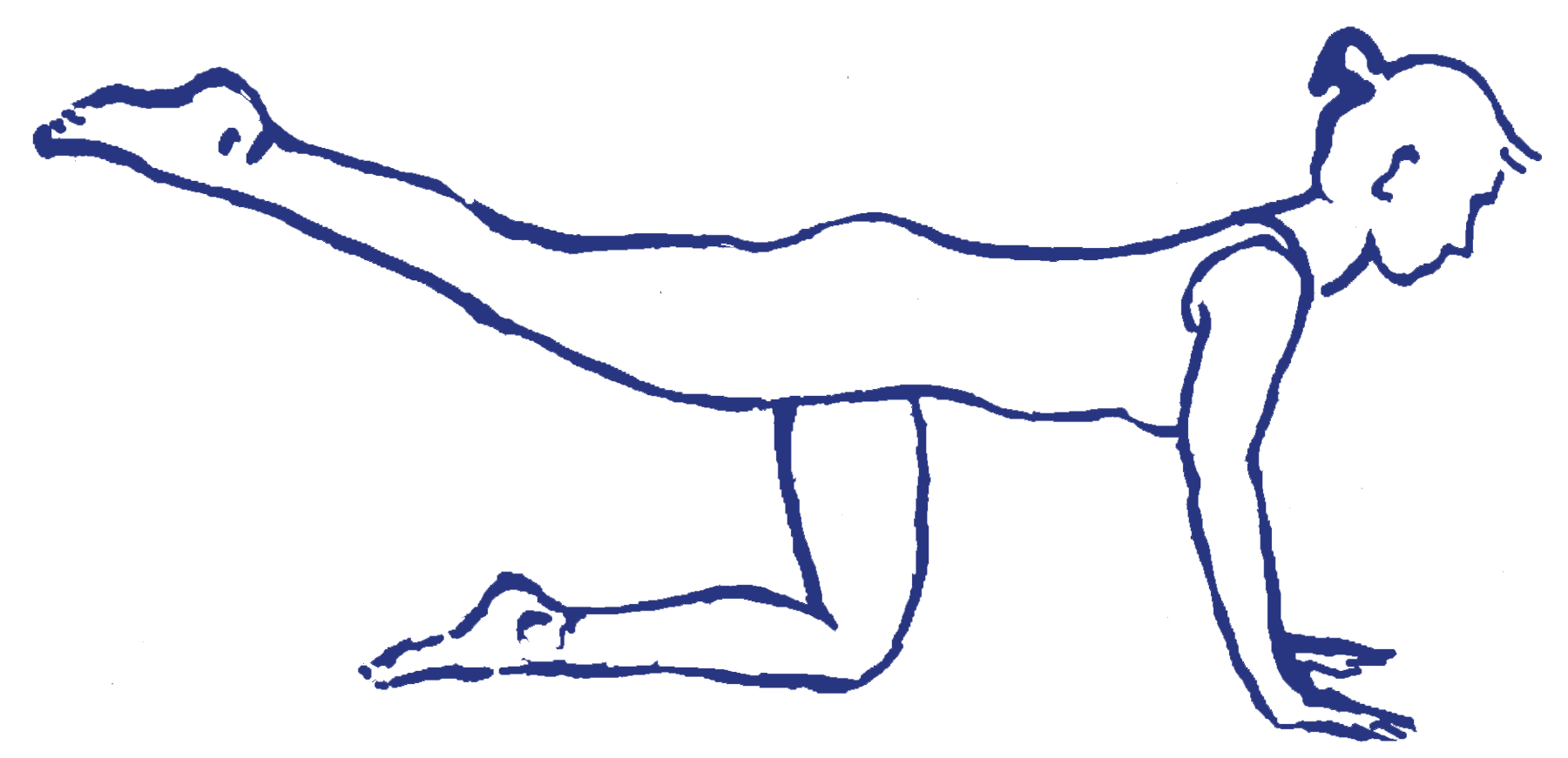 Cakravākāsana