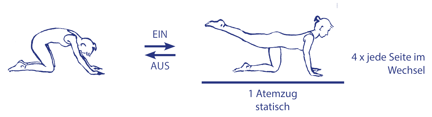 Cakravākāsana