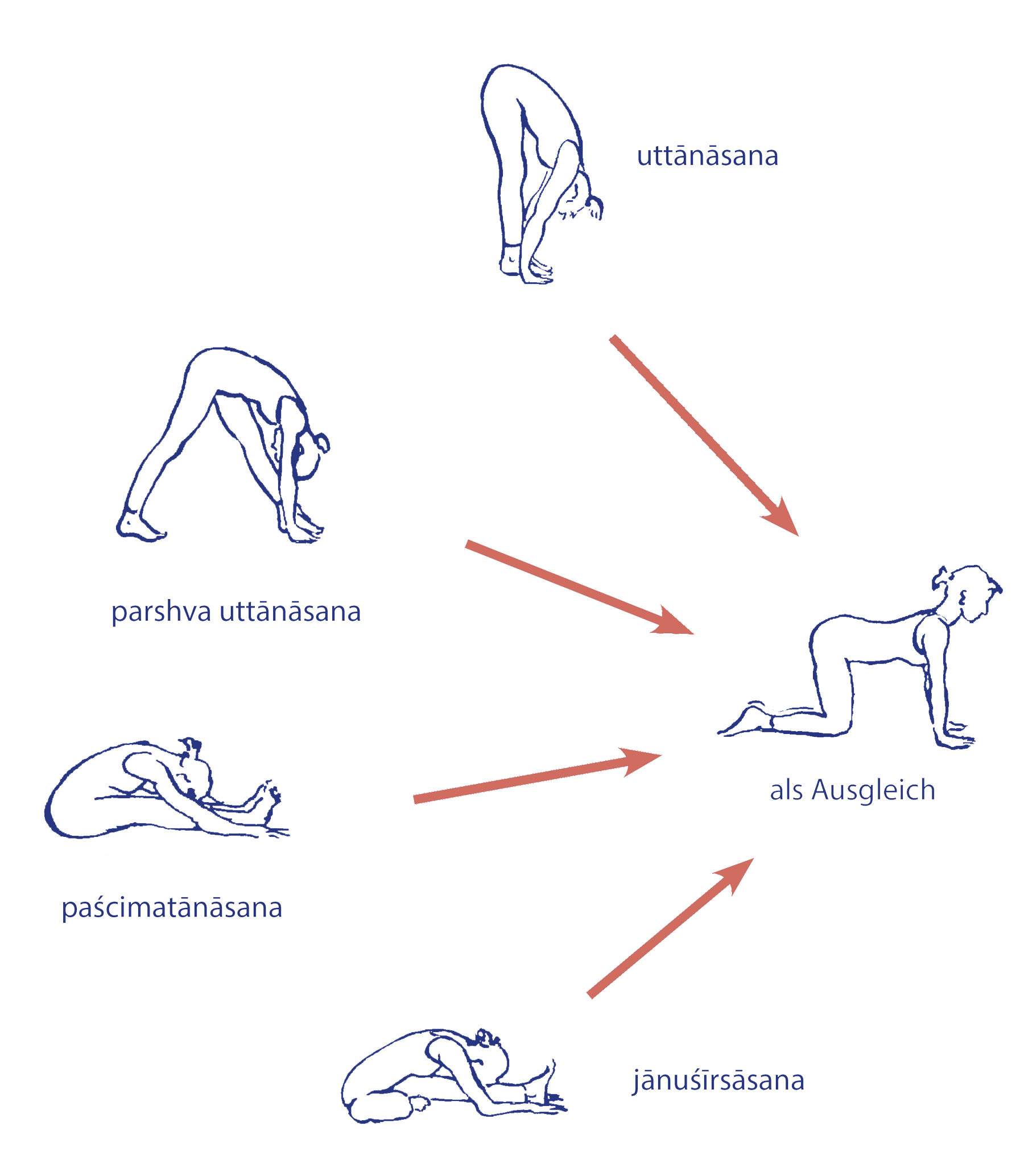 Cakravākāsana als Ausgleich