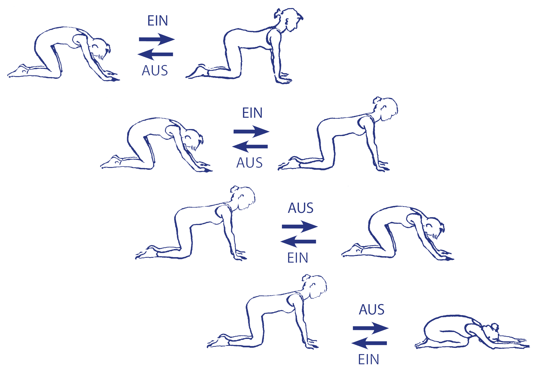 Cakravākāsana mit unterschiedlicher Intensität der Vorbeuge 