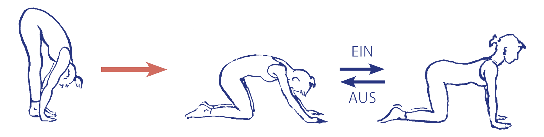 Cakravākāsana als Ausgleich nach uttānāsana