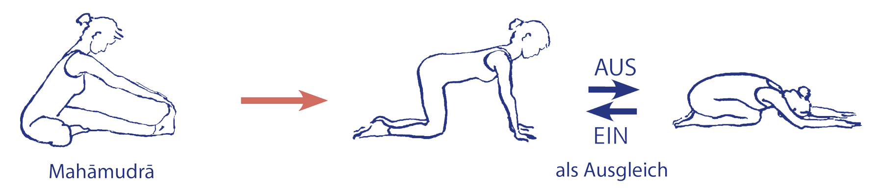 Cakravākāsana als Ausgleich für mahāmudrā