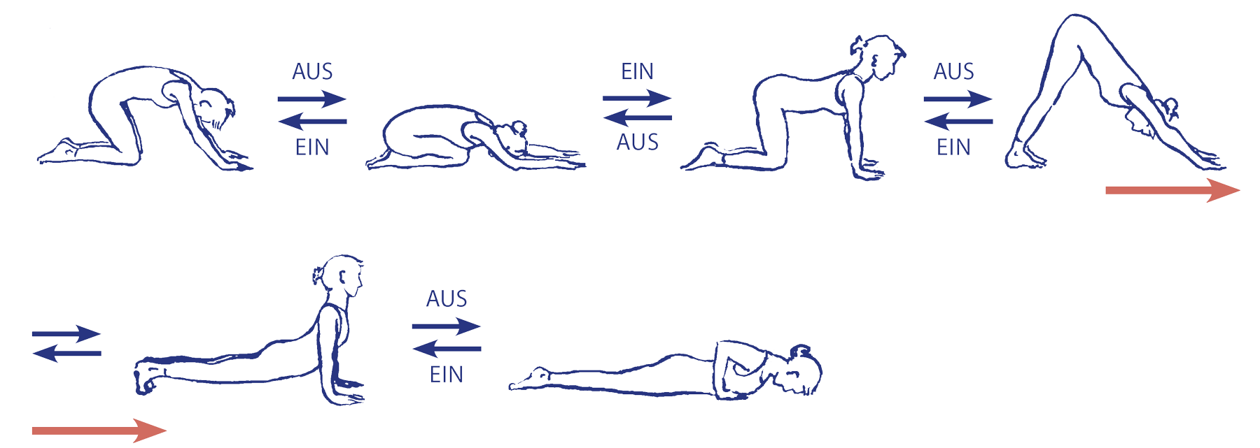 Als verbindende Abfolge lässt sich das Vinyāsa von cakravākāsana in längeren Reihen von Āsana einsetzen