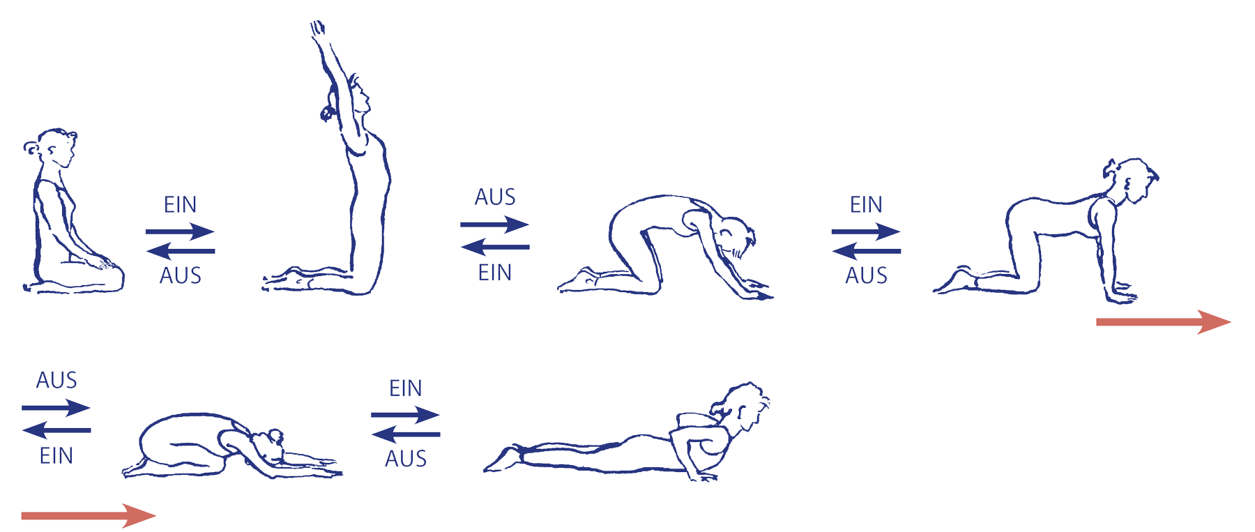 Als verbindende Abfolge lässt sich das Vinyāsa von cakravākāsana in längeren Reihen von Āsana einsetzen