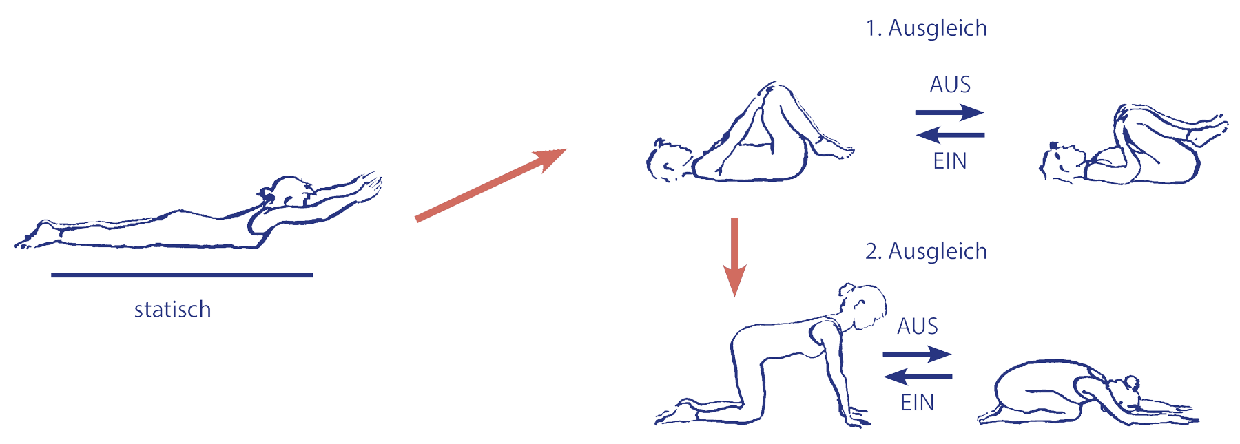 Cakravākāsana als Ausgleich nach statisch geübten Rückbeugen