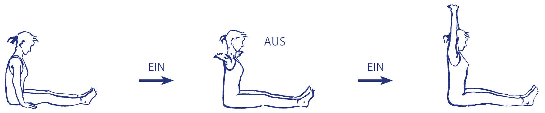 Vinyāsa für daṇḍāsana