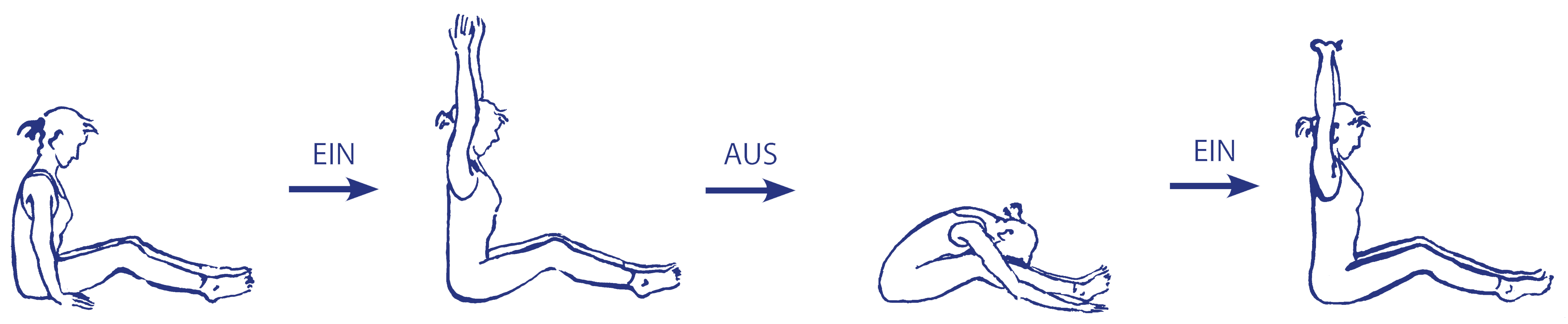 Vinyāsa für daṇḍāsana in Verbindung mit paścimatānāsana
