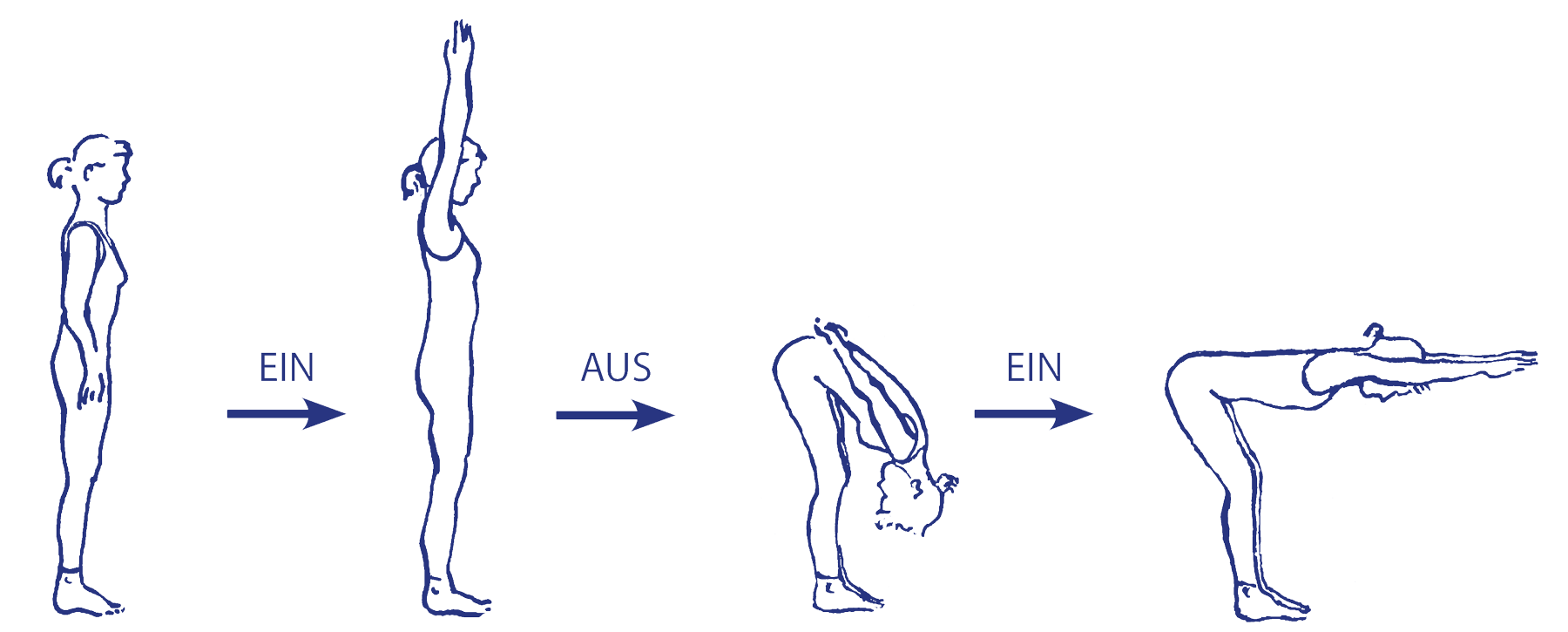Ardha uttānāsana als Vorbereitung für daṇḍāsana