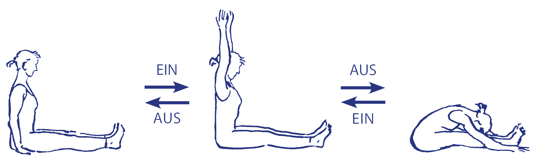 Vinyāsa für paścimatānāsana als Vorbereitung für daṇḍāsana