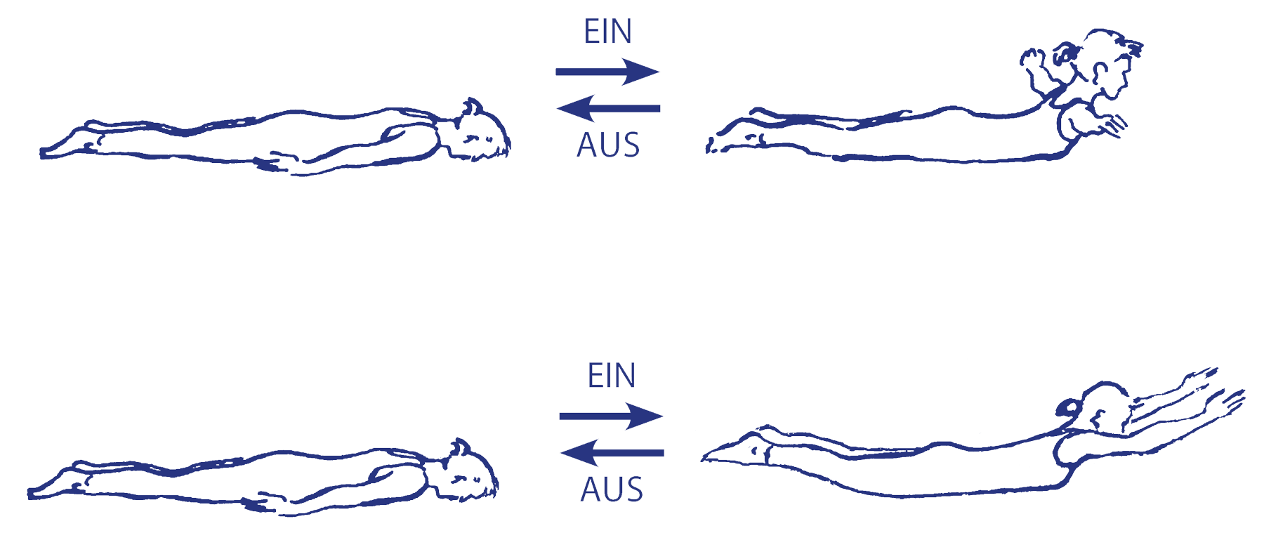 Auch Rückbeugen wie bhujaṅgāsana oder śalabhāsana können helfen, den Rücken auf die Anforderungen von dandāsana vorzubereiten.