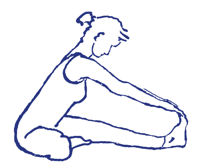 Daṇḍāsana ls Vorbereitung für mahāmudrā