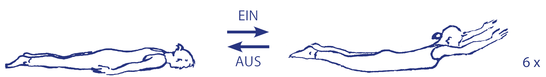 Śalabhāsana