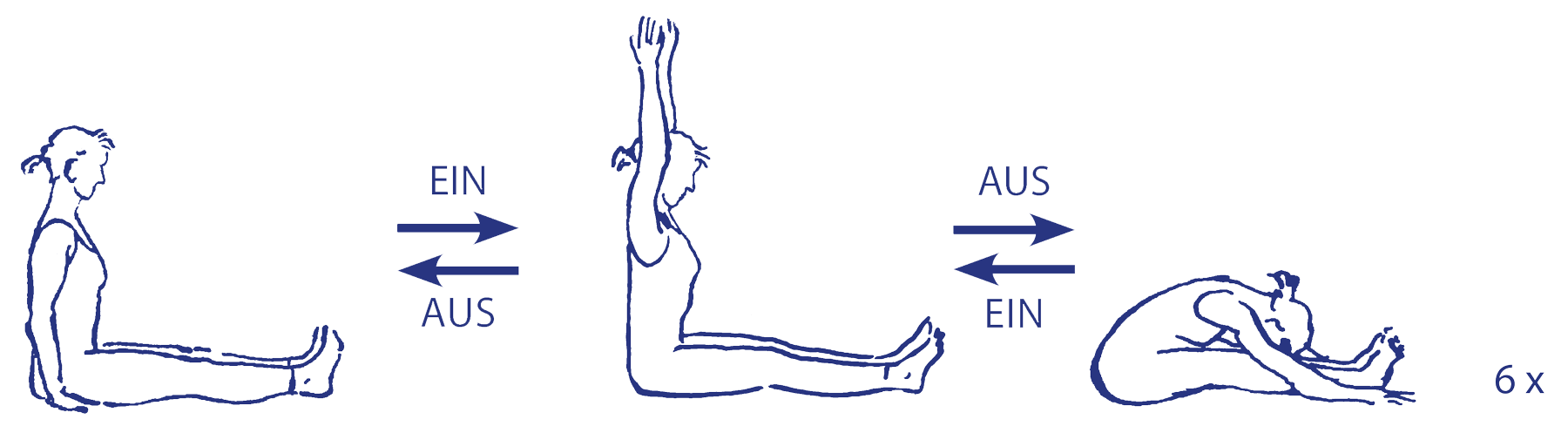 Vinyāsa für paścimatānāsana