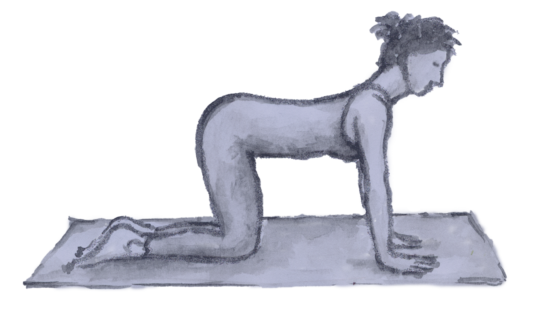 Cakravākāsana aquareliert