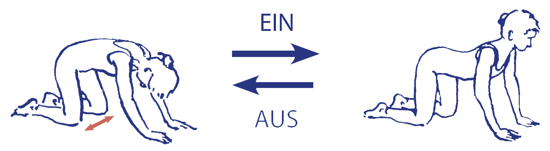 Cakravākāsana – Knie weit auseinander