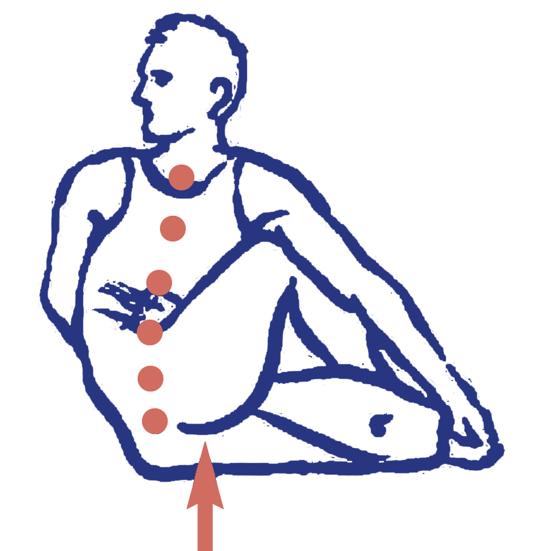 hasta pāda pūrṇa matsyendrāsana – der ganze Drehsitz